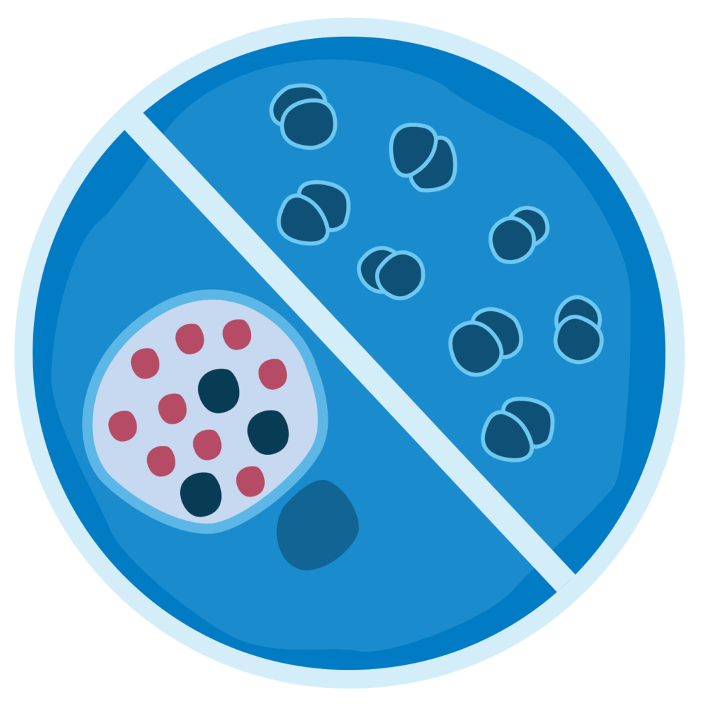 Chlamydia and Gonorrhea icon
