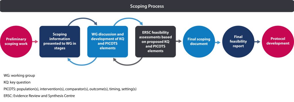 Figure 1. Overview of the process from the initial scoping search to protocol development.